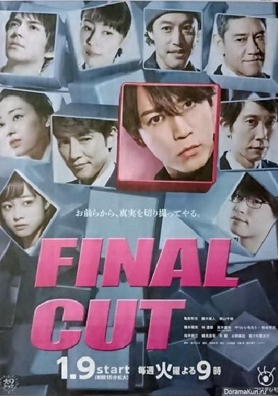 Окончательный вариант / Окончательный монтаж / Final Cut (2018) 