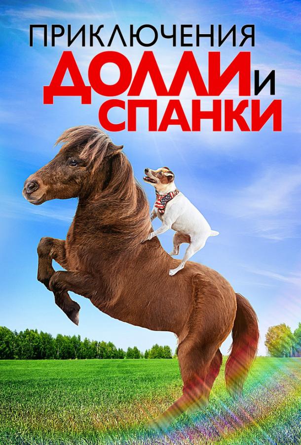 Приключения Долли и Спанки / Adventures of Dally & Spanky (2019) 