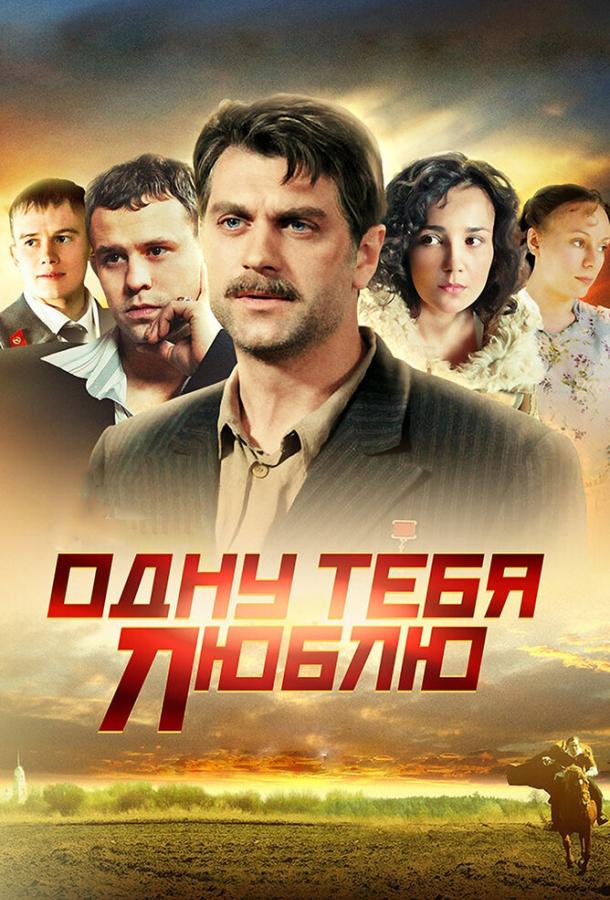 Одну тебя люблю (2012) 