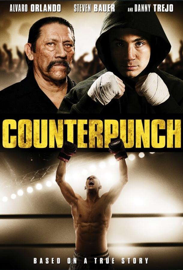 Контрудар / Counterpunch (2012) 