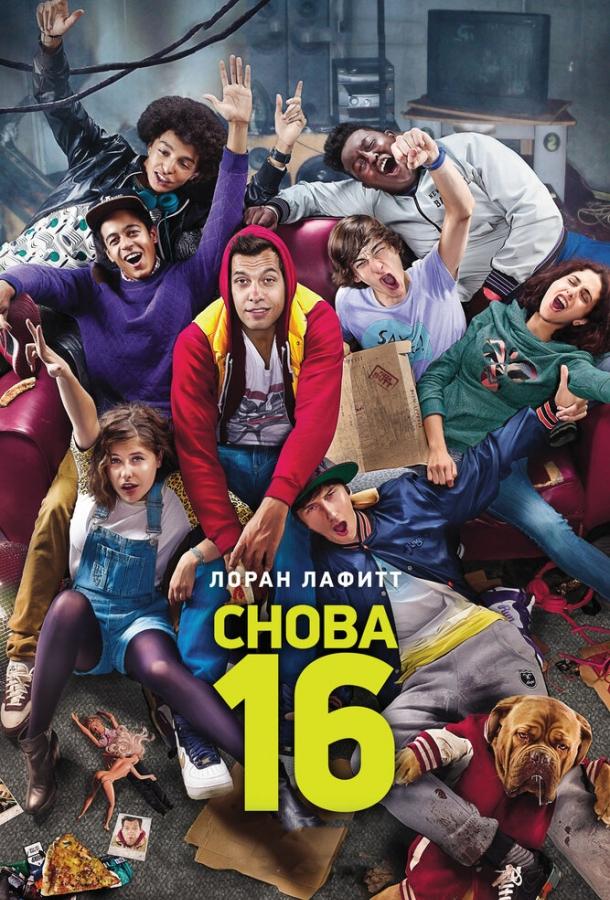 Снова 16 / 16 ans ou presque (2013) 