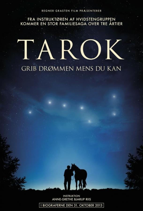 Поймать мечту / Tarok (2013) 