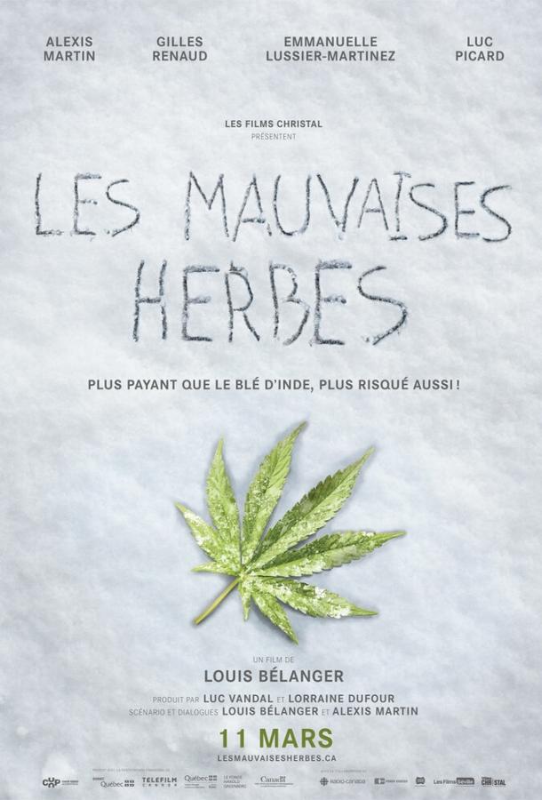 Плохие семена / Les mauvaises herbes (2016) 