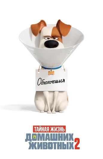 Тайная жизнь домашних животных 2 / The Secret Life of Pets 2 (2019) 